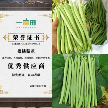 四季豆白条豆角，货源充足，欢迎全国各地客户前来订购