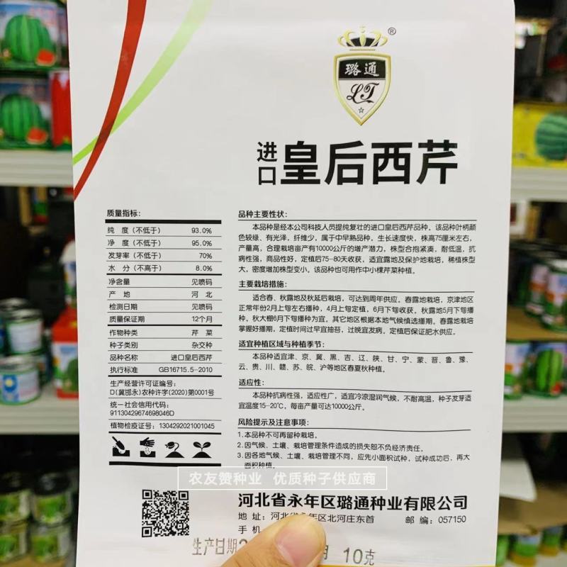 进口皇后西芹种子中小颗芹菜种子耐低温抗病强纤维少