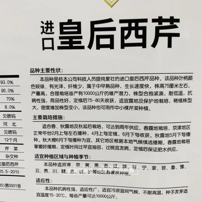 进口皇后西芹种子中小颗芹菜种子耐低温抗病强纤维少