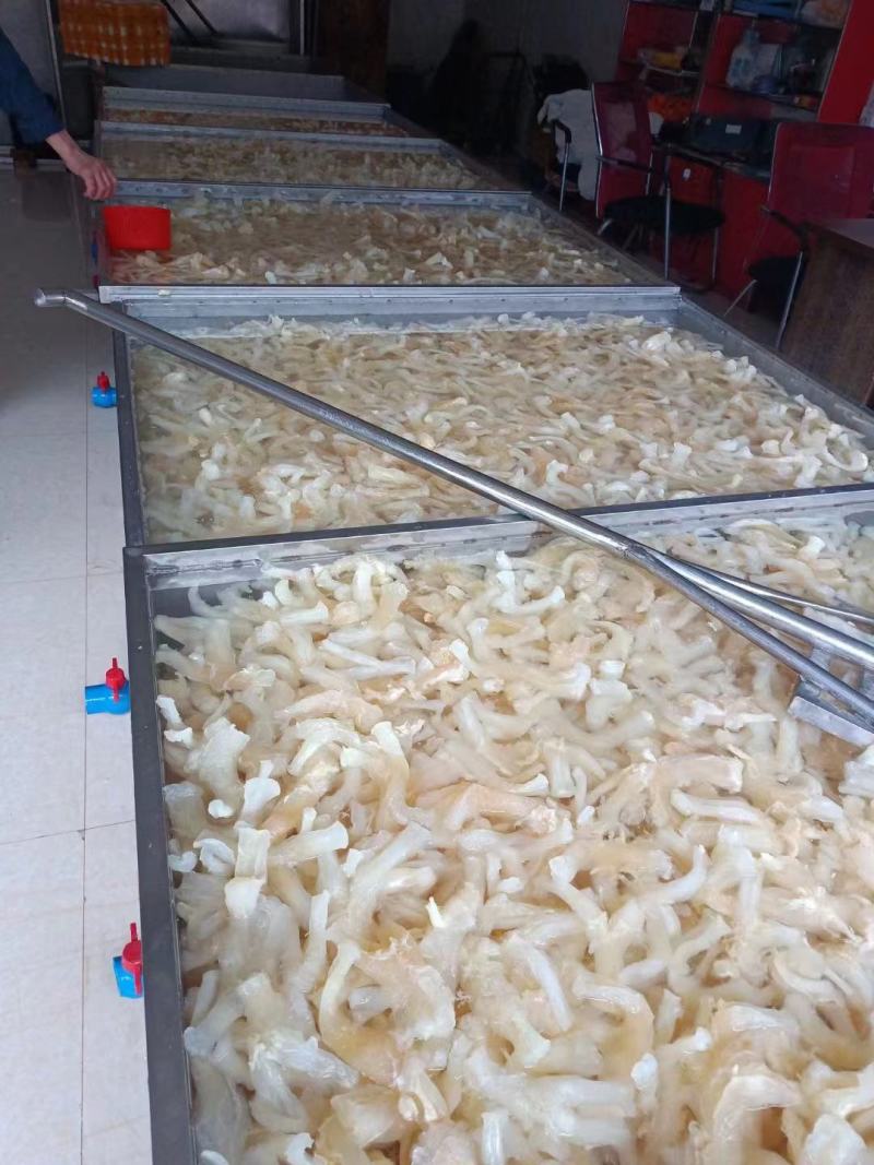 牛蹄筋副筋水发厂家直供，一手货源