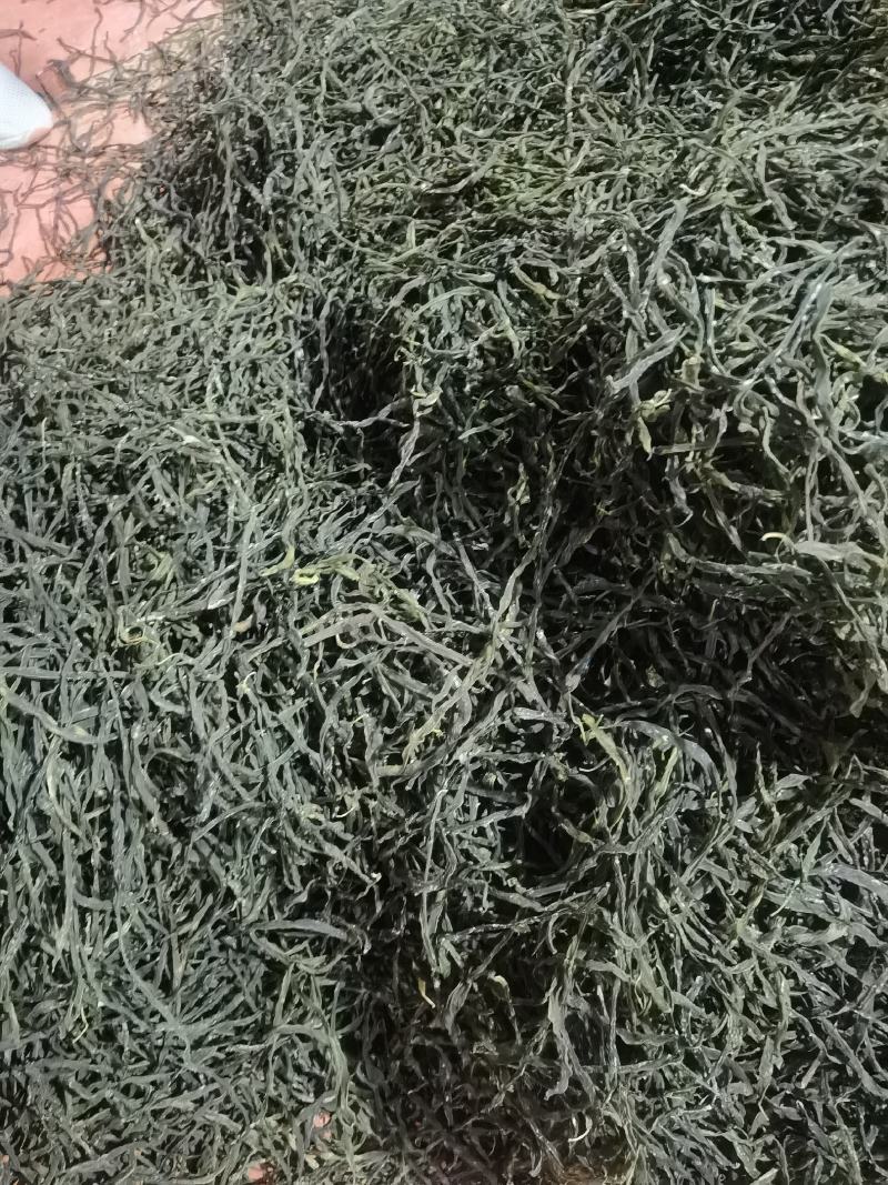 无筋豆干货