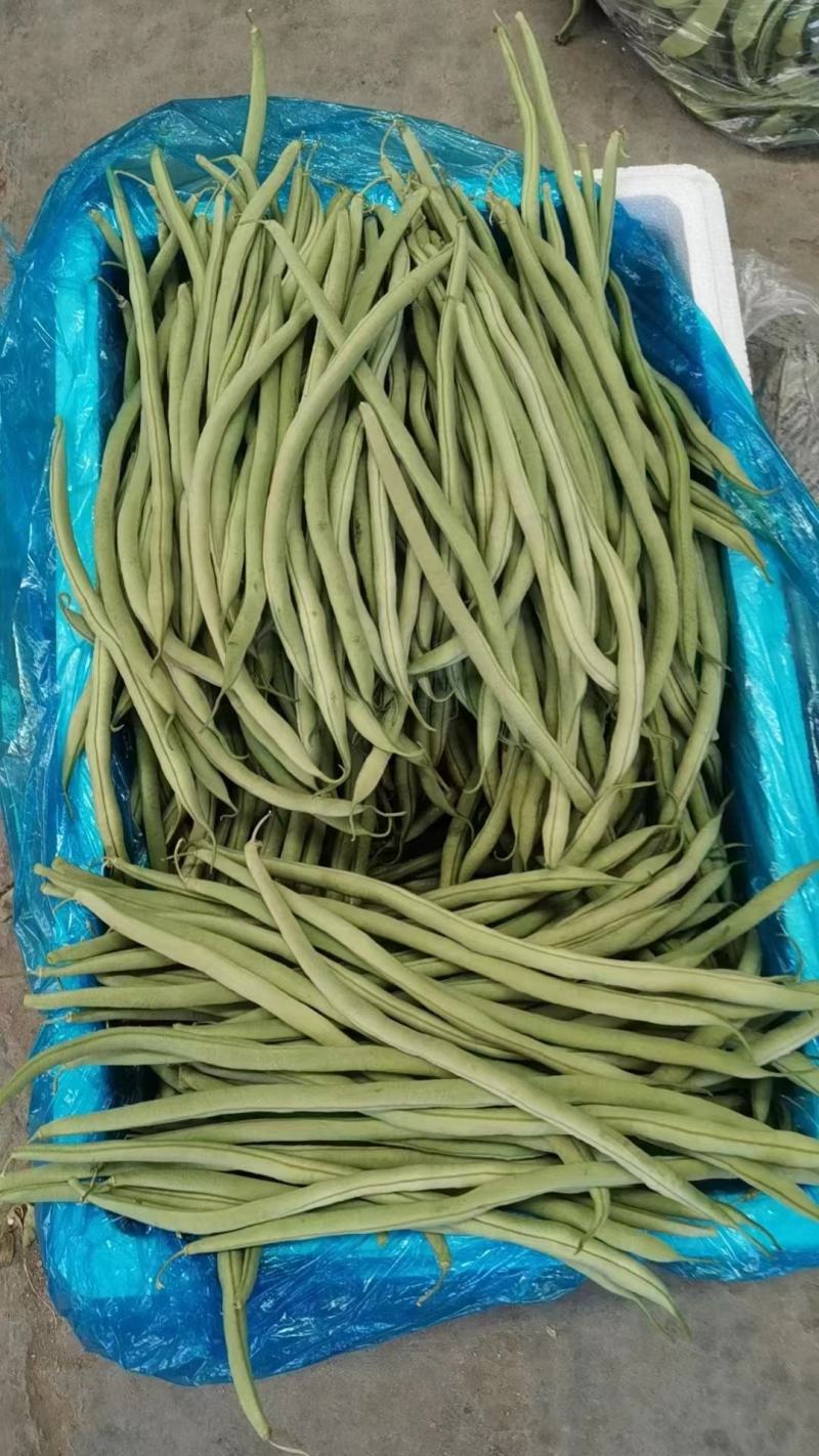 精品豆角