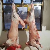 新鲜羊肉宰杀货源充足对接全国客商可视频看货欢迎致电