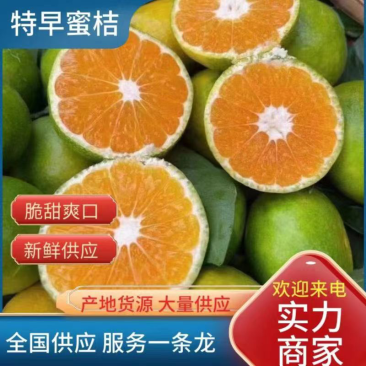 【优选】云南精品蜜橘叶桔产地质保市场电商团购外贸出口