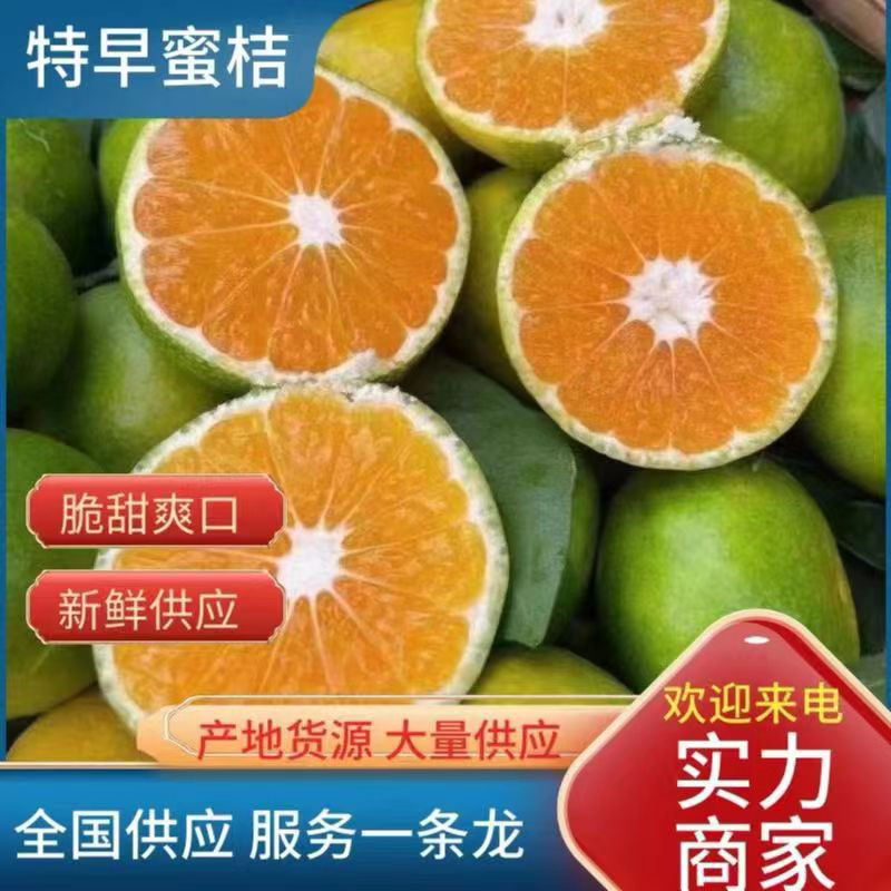 【优选】云南精品蜜橘叶桔产地质保市场电商团购外贸出口