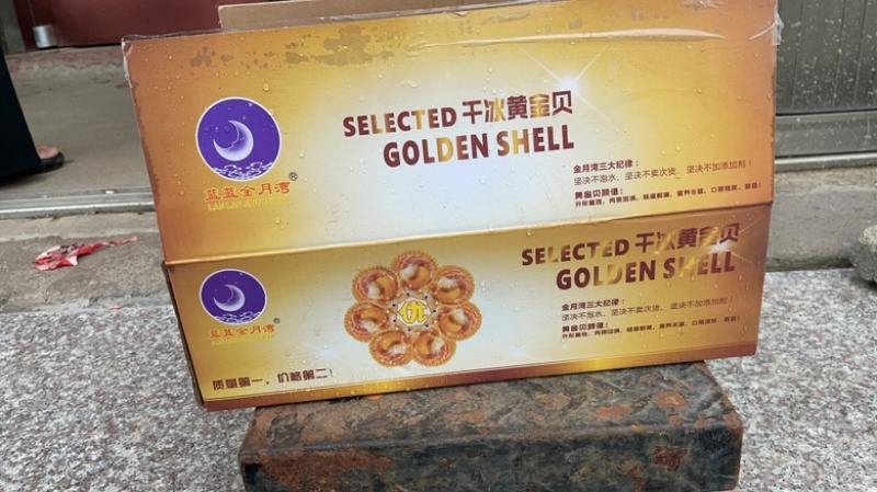 黄金粉丝扇贝黄金扇贝烧烤必选食材半壳黄金贝
