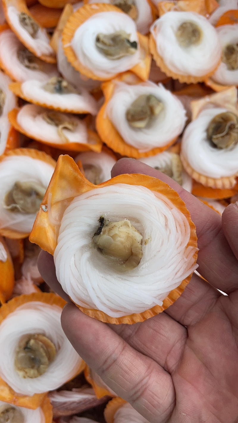 黄金粉丝扇贝黄金扇贝烧烤必选食材半壳黄金贝