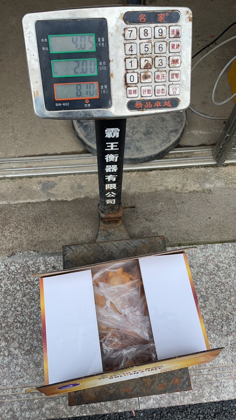 黄金粉丝扇贝黄金扇贝烧烤必选食材半壳黄金贝