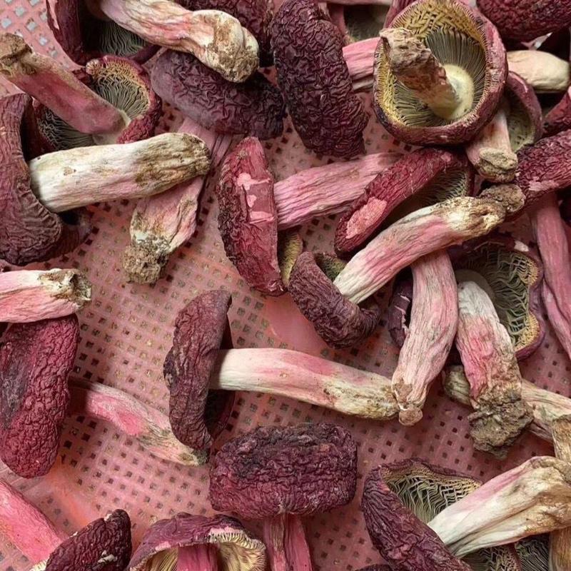 红菇正品野生特级精选红菇红蘑菇红菌煲汤菌味浓香批发直销半