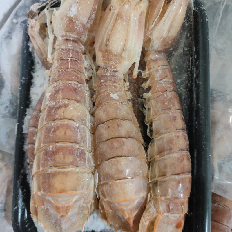 活煮皮皮虾濑尿虾虾爬子规格齐全货源稳定