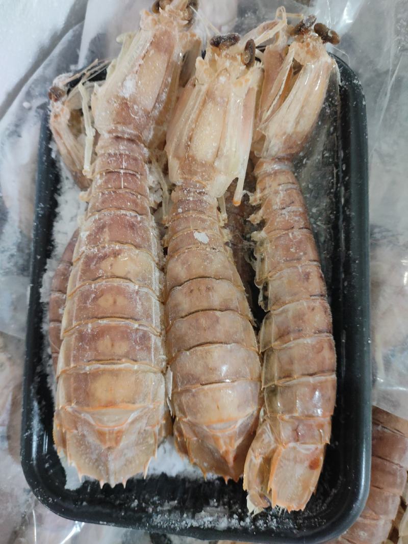 活煮皮皮虾濑尿虾虾爬子规格齐全货源稳定