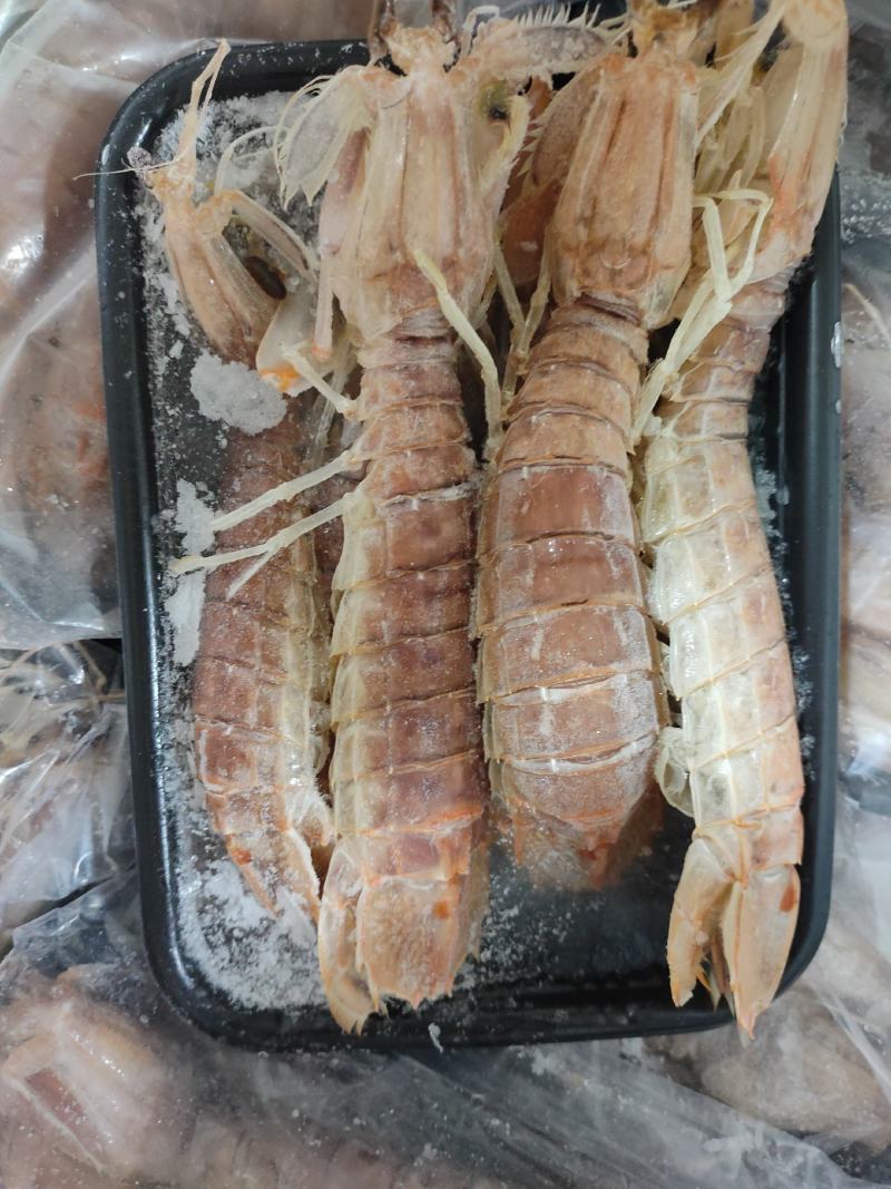 活煮皮皮虾濑尿虾虾爬子规格齐全货源稳定