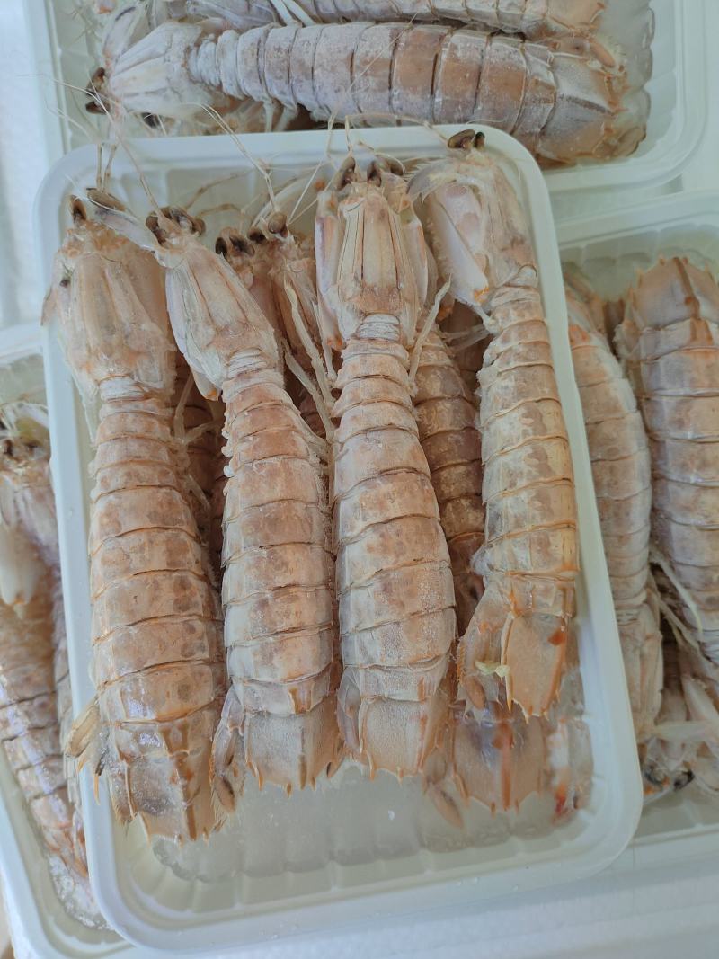活煮皮皮虾濑尿虾虾爬子规格齐全货源稳定