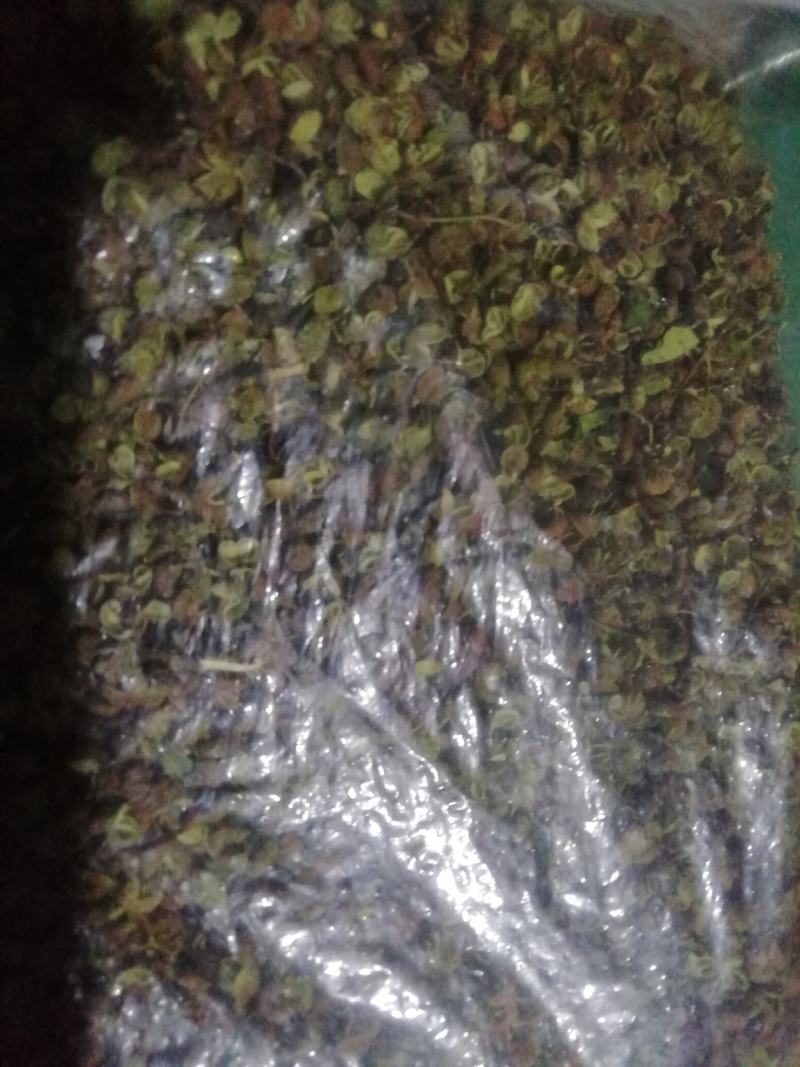 青花椒（臭椒）干货，产地直销，需要的客户联系我。