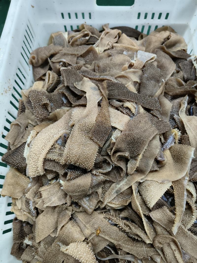毛肚碎料，黄喉碎料，底板丝，西皮叶片碎叶片