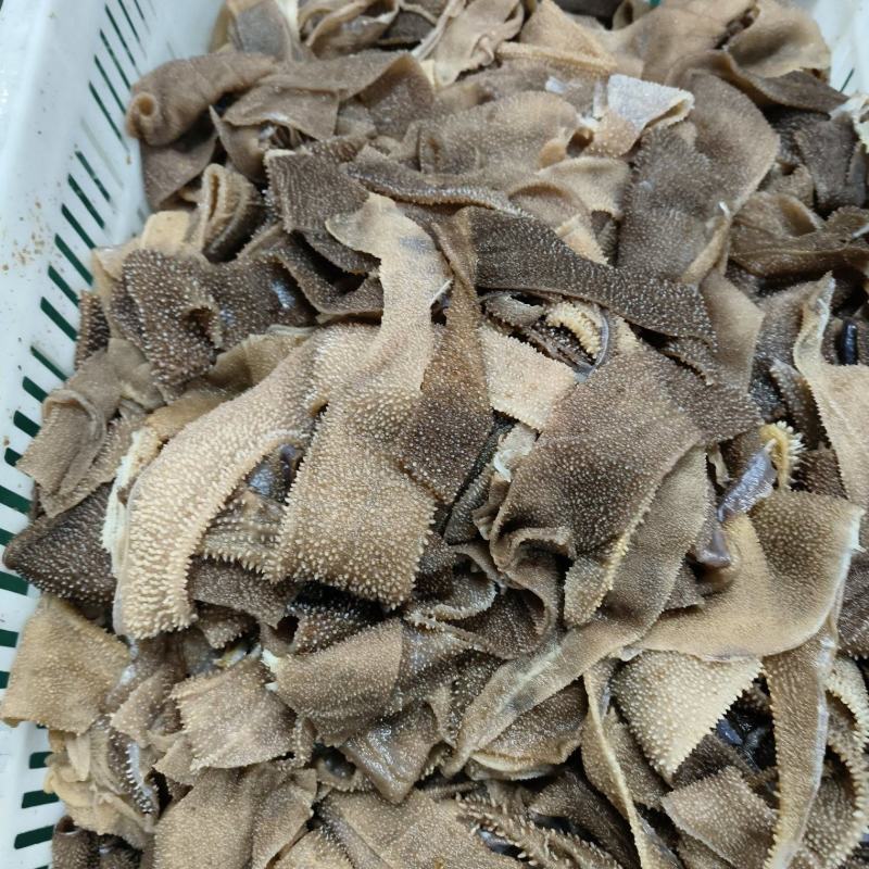 毛肚碎料，黄喉碎料，底板丝，西皮叶片碎叶片