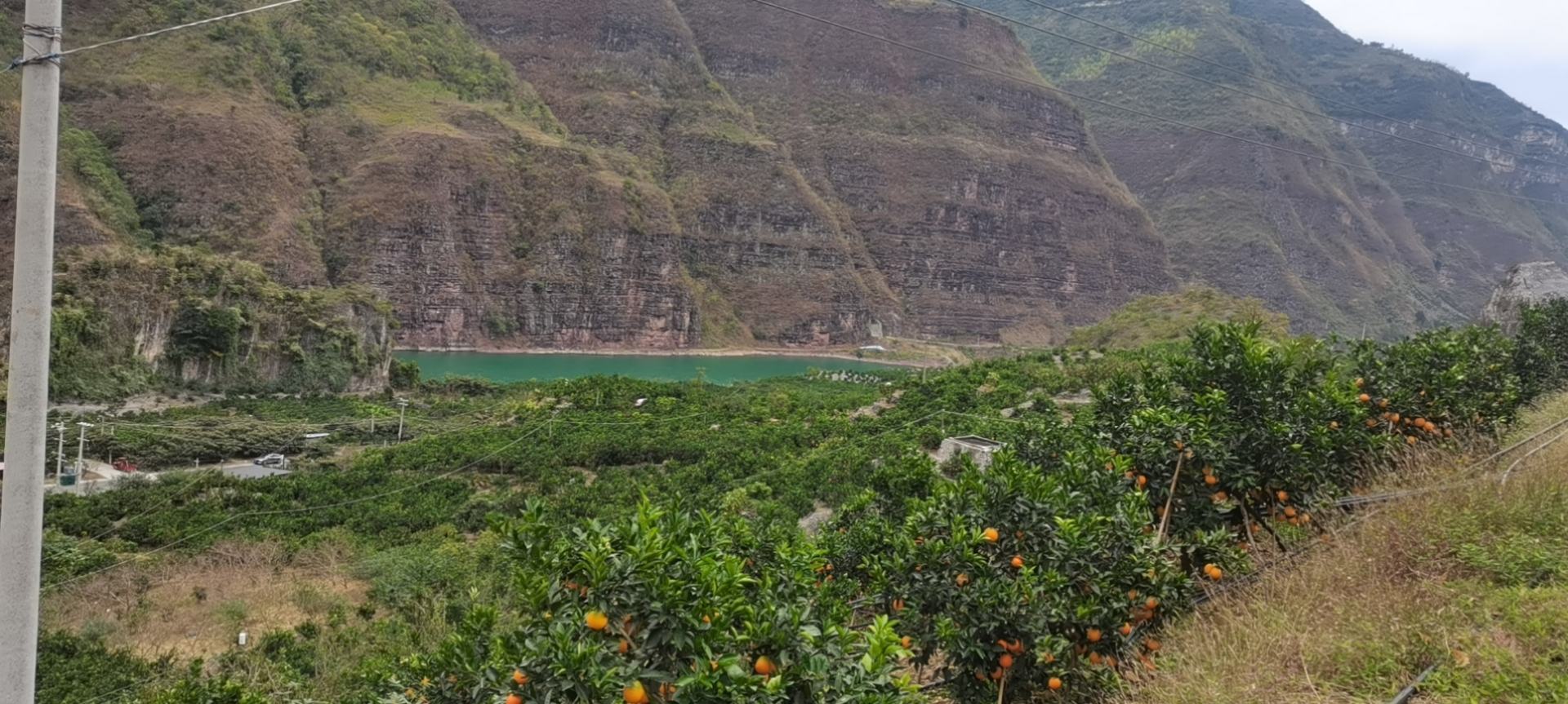 一张高清地理地图,显示南非行政区划,重点标注林波波省莫帕尼区、姆普马兰加省艾古莱尼区、西开普省布里德河谷三个甜橙主产区域,并配有气候数据图标如日照、降雨量、温度曲线 南非甜橙主产区地图标注