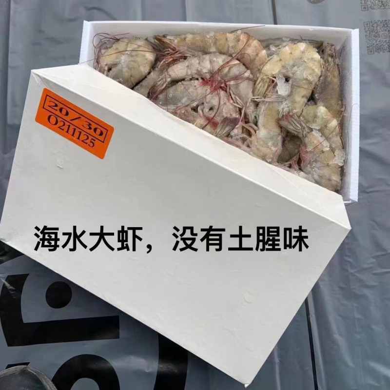 桑塔盐冻虾海虾2030各规格