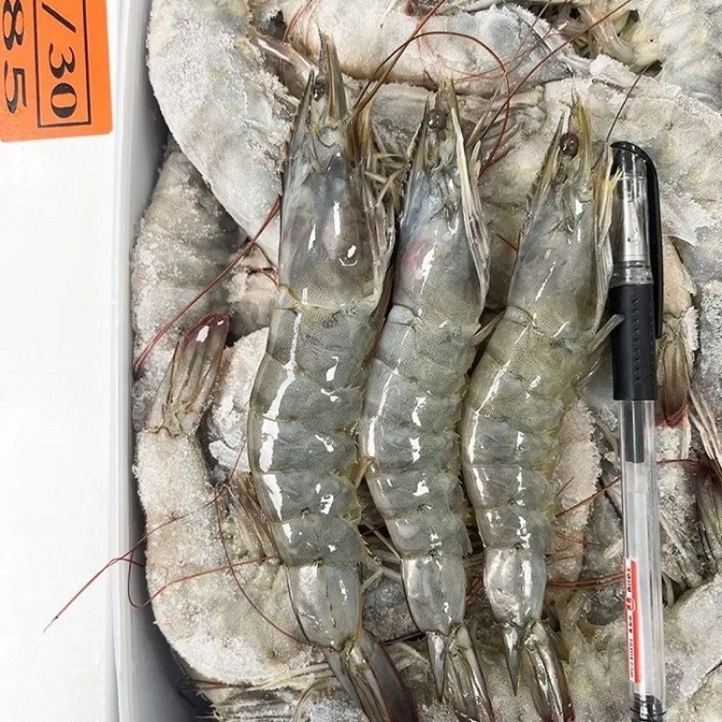 桑塔盐冻虾海虾2030各规格