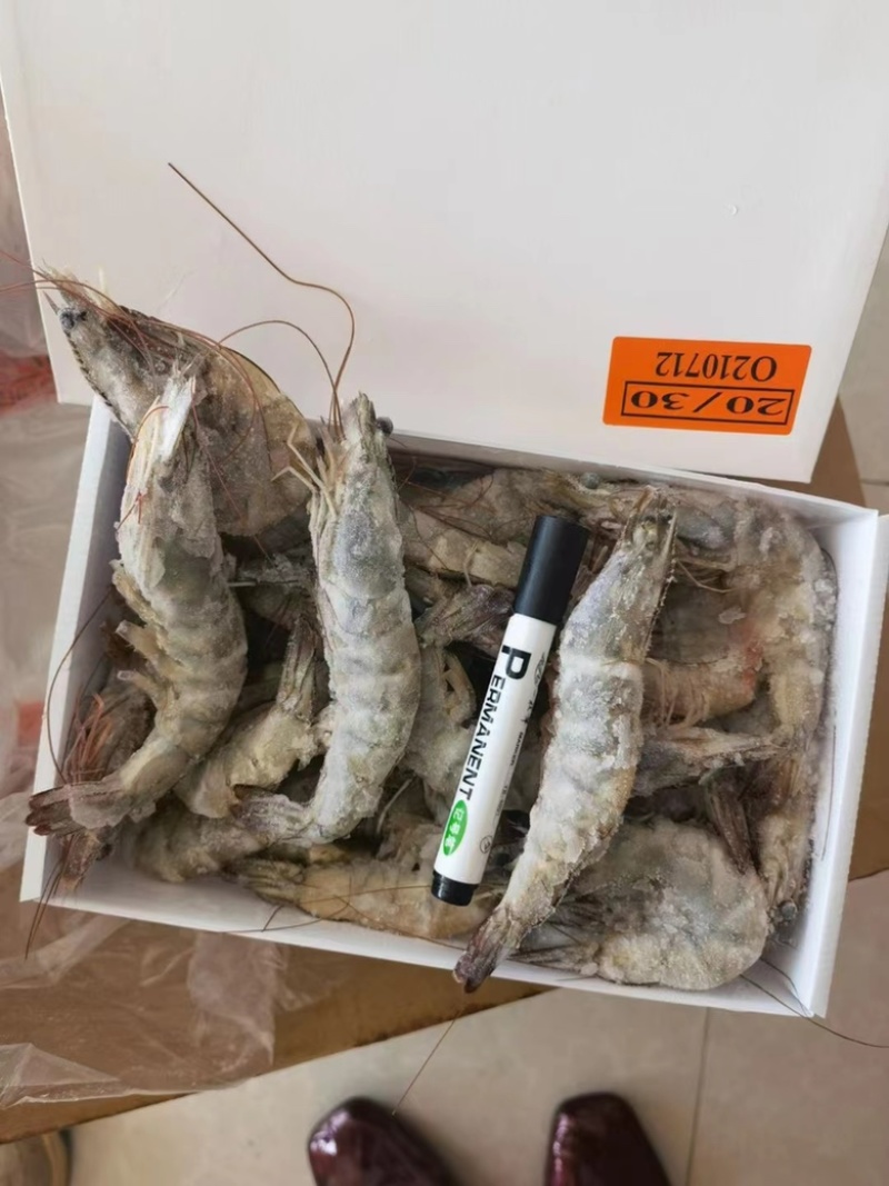 桑塔盐冻虾海虾2030各规格