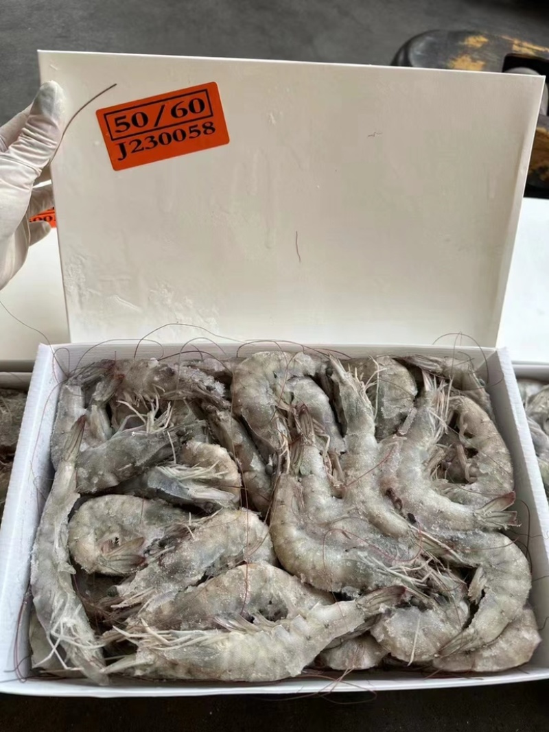 桑塔盐冻虾海虾2030各规格