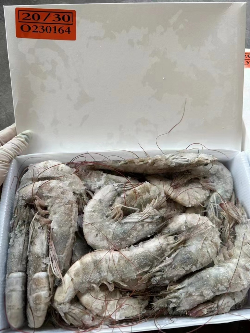 桑塔盐冻虾海虾2030各规格