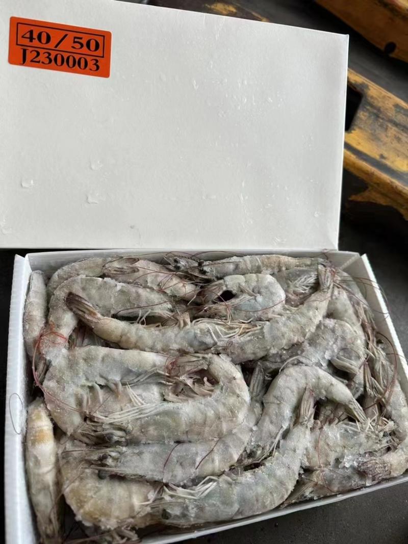 桑塔盐冻虾海虾2030各规格
