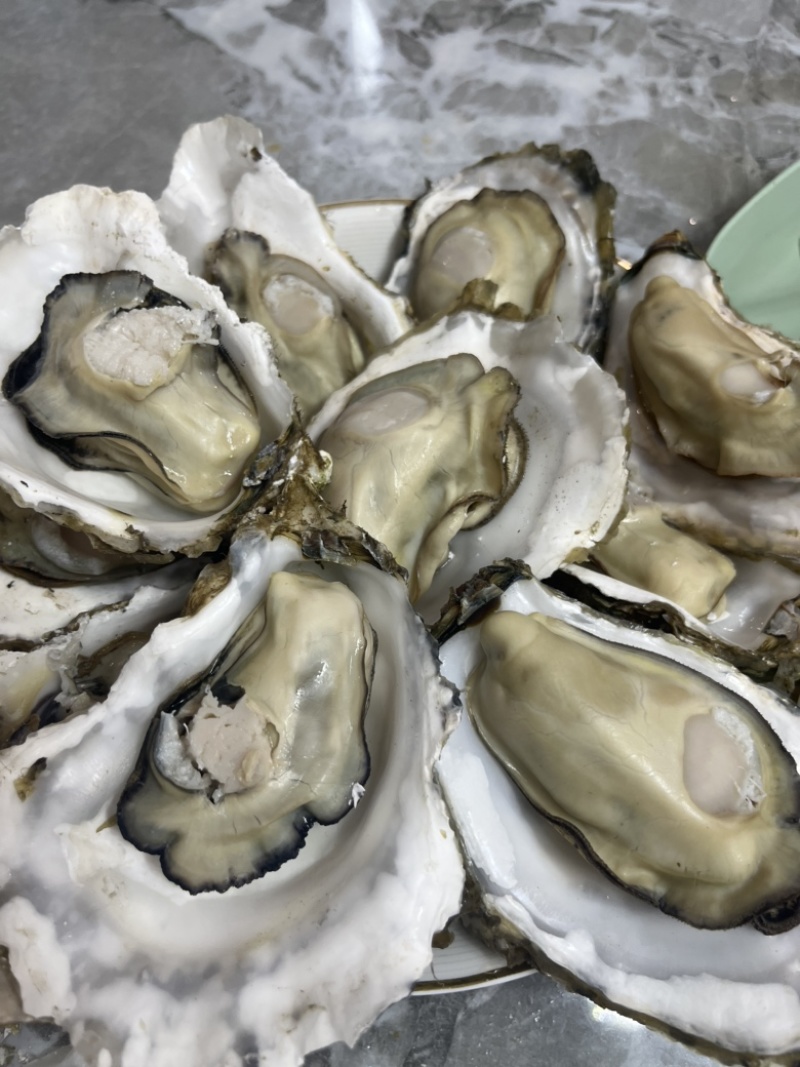 生蚝三倍体流通货肥度8-9实肉