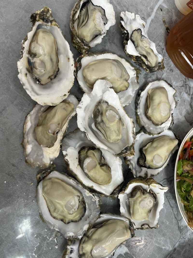 生蚝三倍体流通货肥度8-9实肉