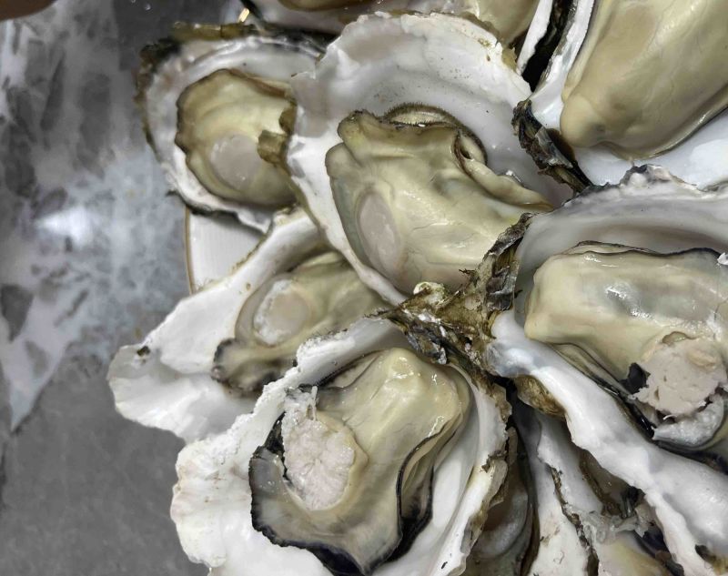 生蚝三倍体流通货肥度8-9实肉