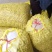 纯沙地花生，果个大籽粒饱满，货源充足量大从优欢迎咨询