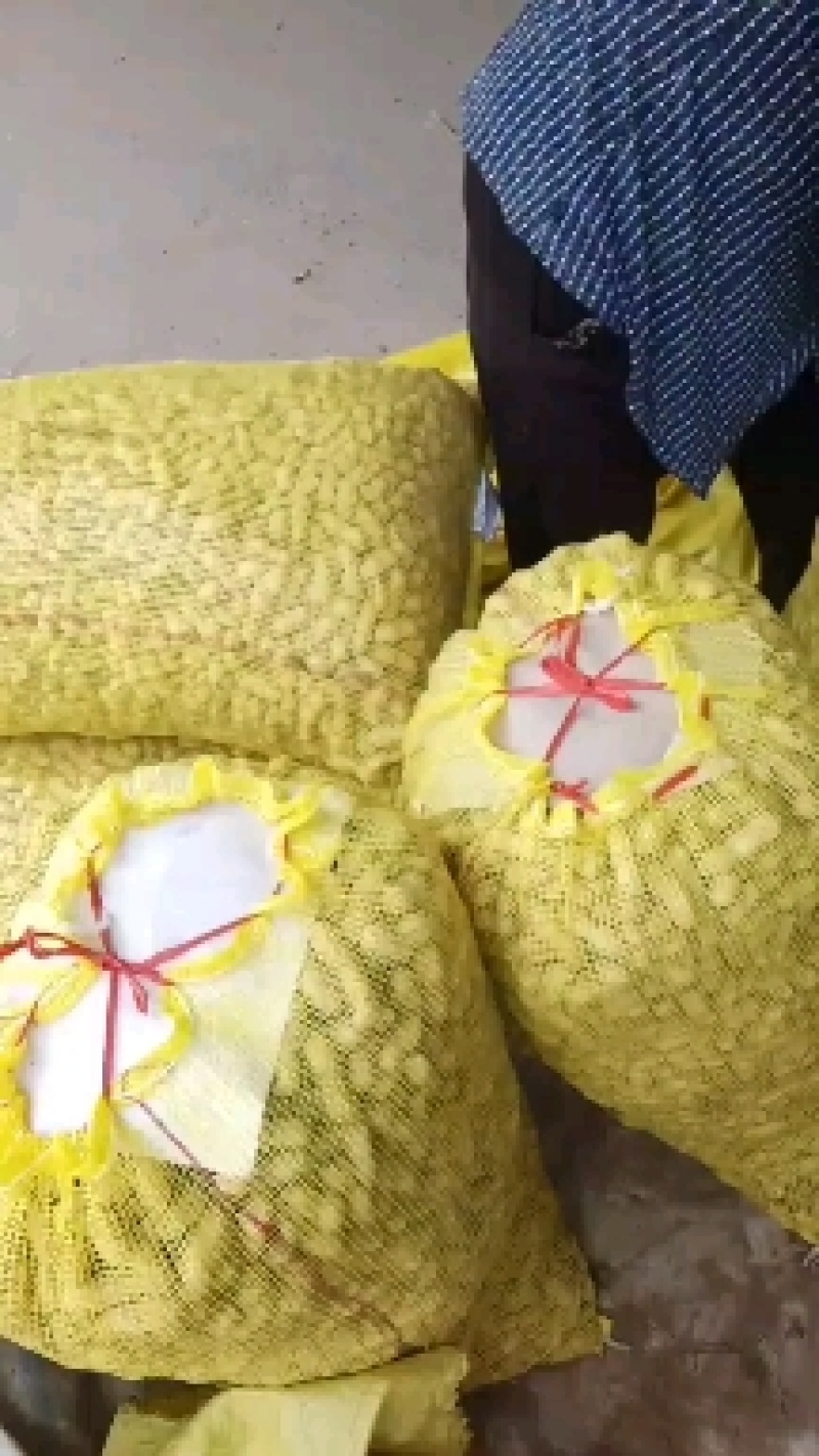 纯沙地花生，果个大籽粒饱满，货源充足量大从优欢迎咨询