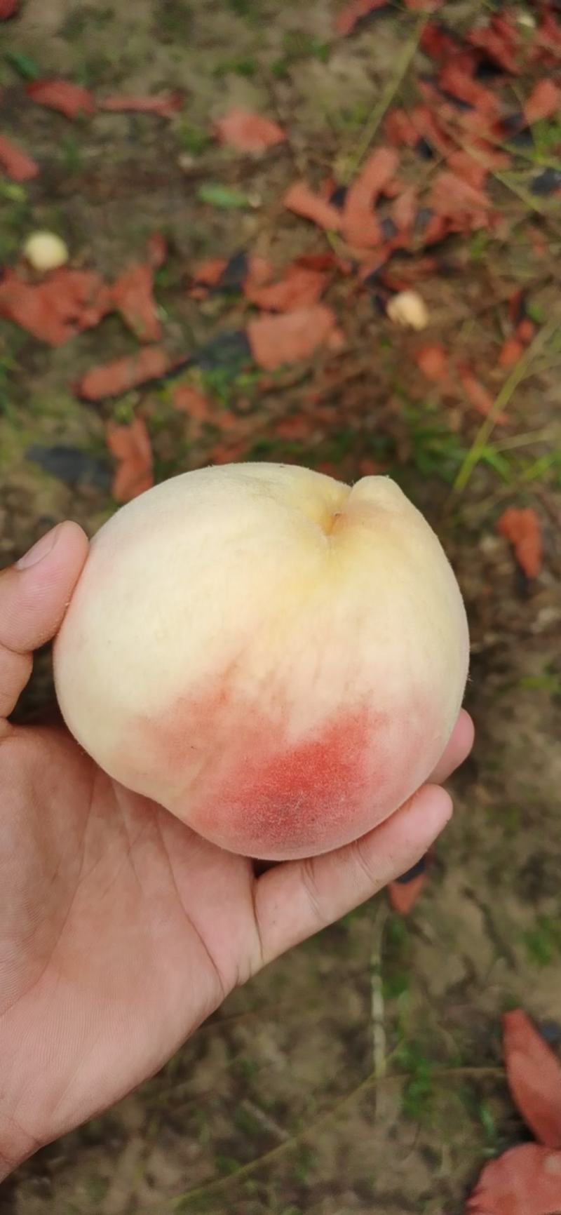 精品纸袋