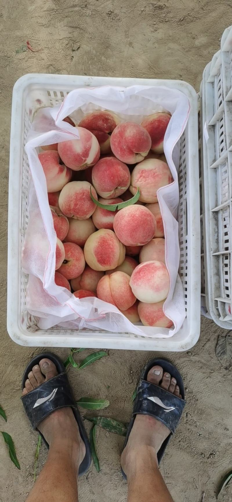 精品纸袋
