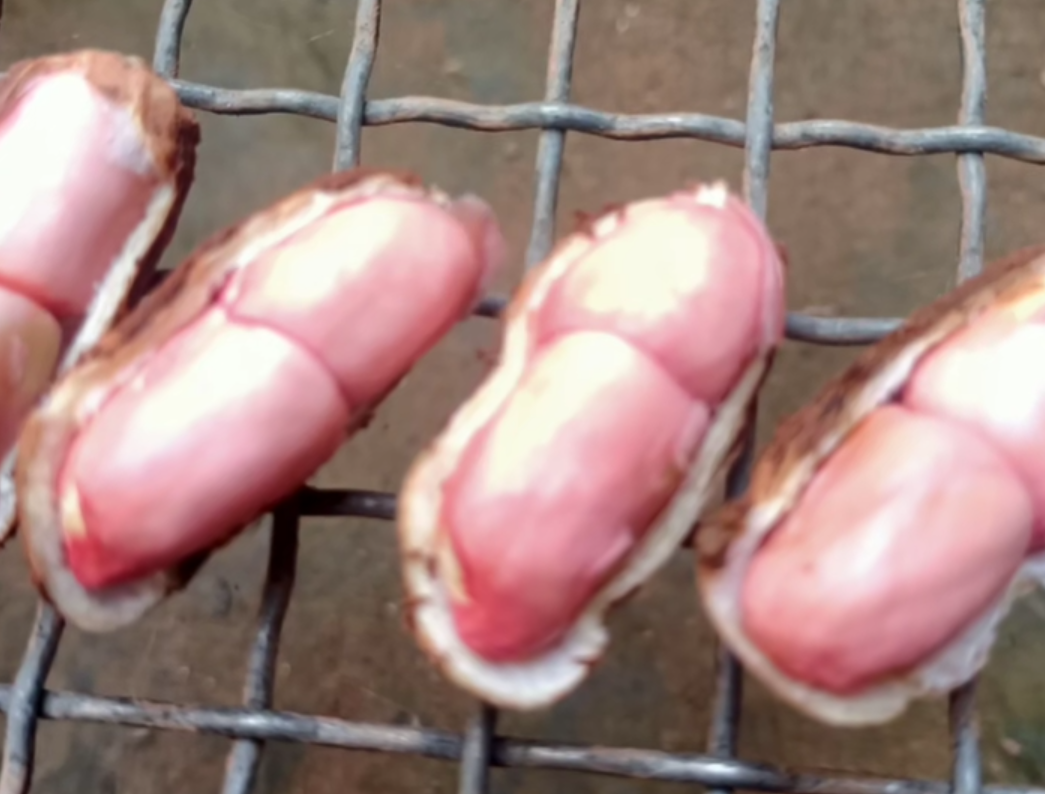 电烤箱烤花生成品展示