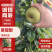 【实力】湖北翠冠梨精品梨子现采现发万亩基地持续供应