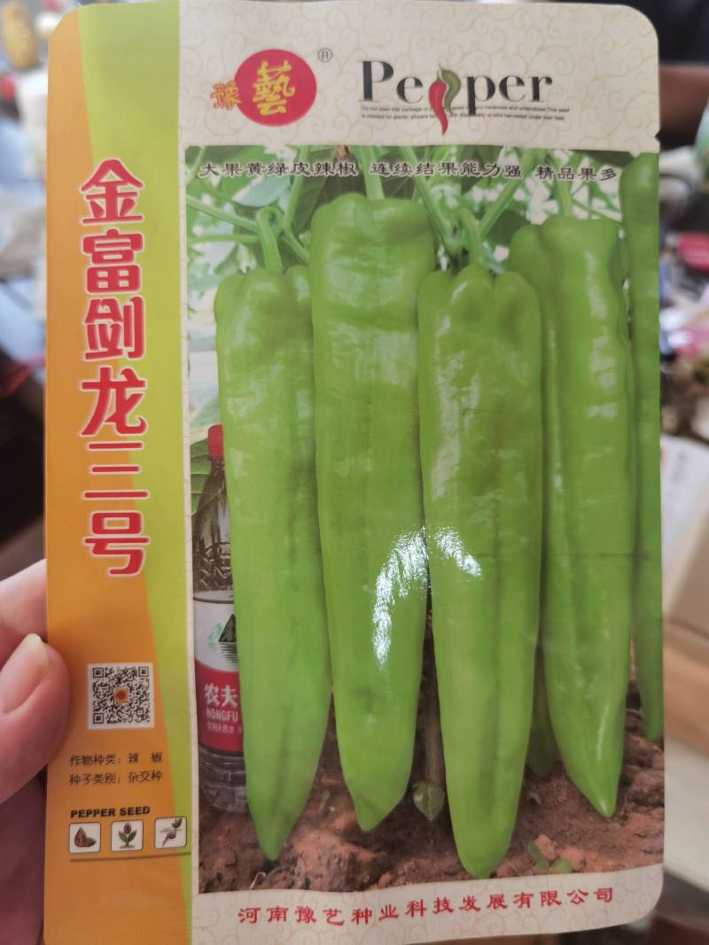 辣椒苗苗子粗壮尖椒线椒圆椒品种全