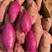 正宗广东精品沙地紫薯，质量保证欢迎全国客商前来选购