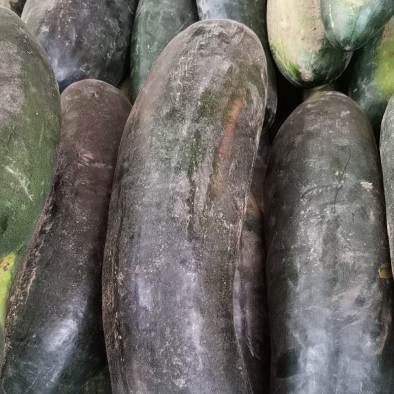 黑皮地冬瓜