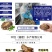 鲍鱼【鲍鱼厂家】鲍鱼批发鲍鱼肉小鲍鱼去肚鲍鱼整年供应