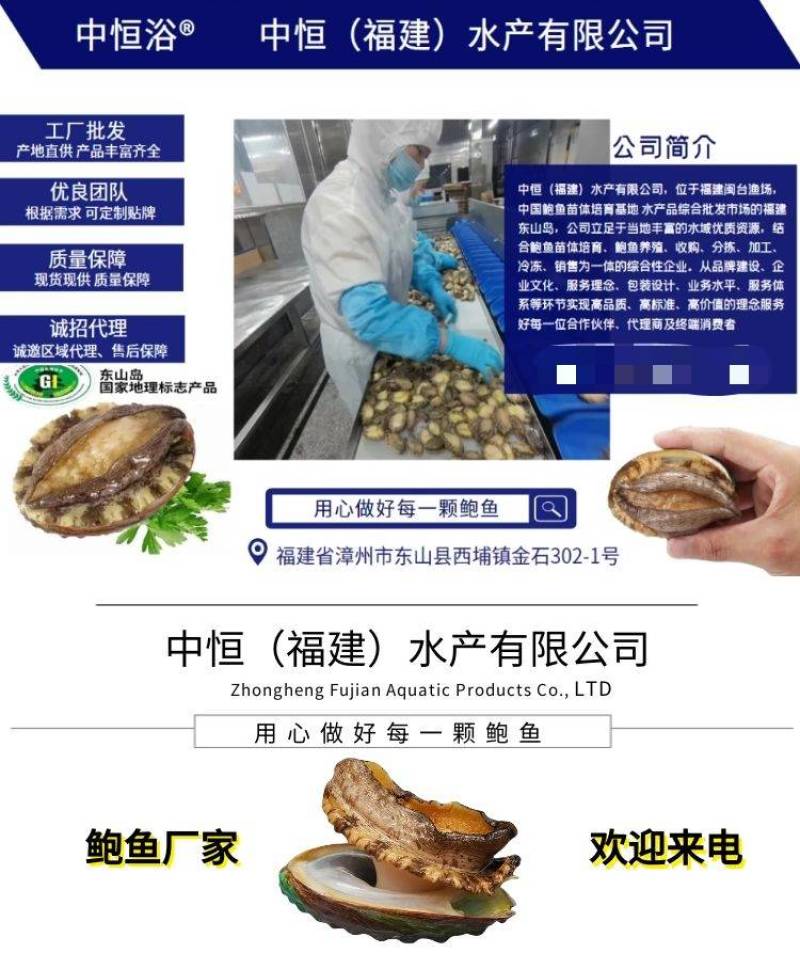 鲍鱼【鲍鱼厂家】鲍鱼批发鲍鱼肉小鲍鱼去肚鲍鱼整年供应
