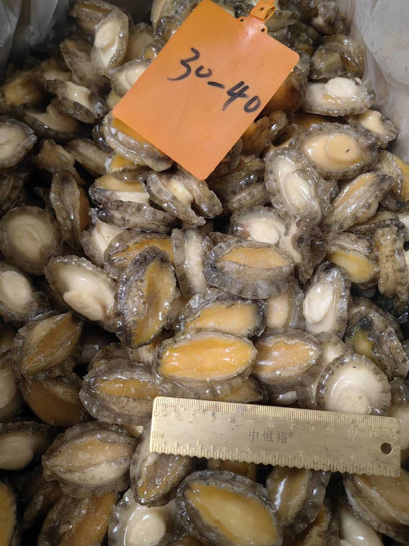 鲍鱼【鲍鱼厂家】鲍鱼批发鲍鱼肉小鲍鱼去肚鲍鱼整年供应