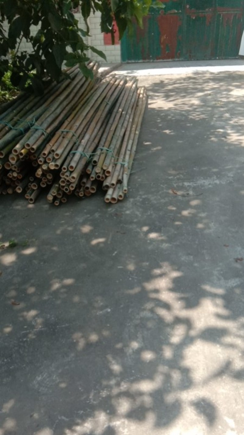 大量各种粗细竹竿