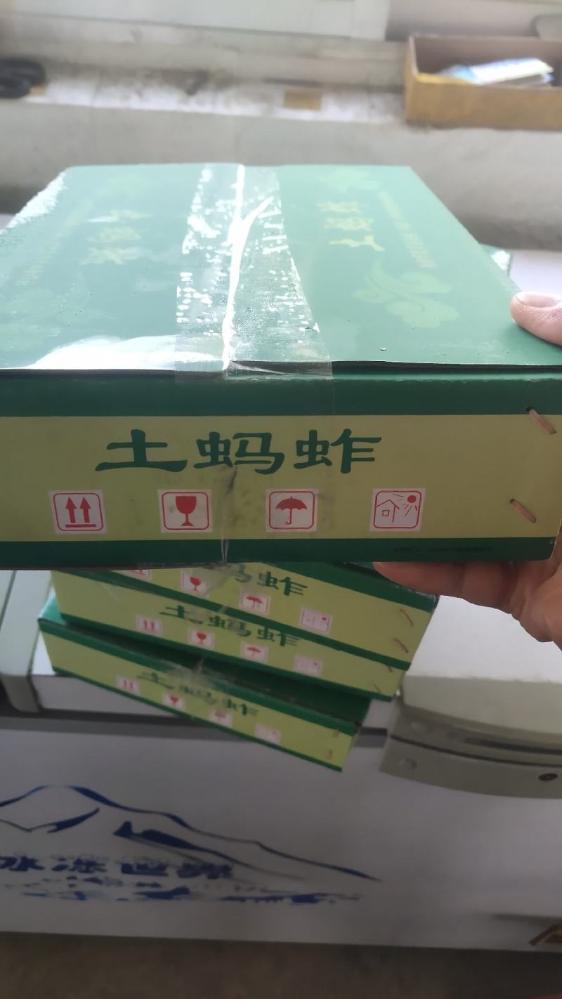 蚂蚱东亚飞蝗