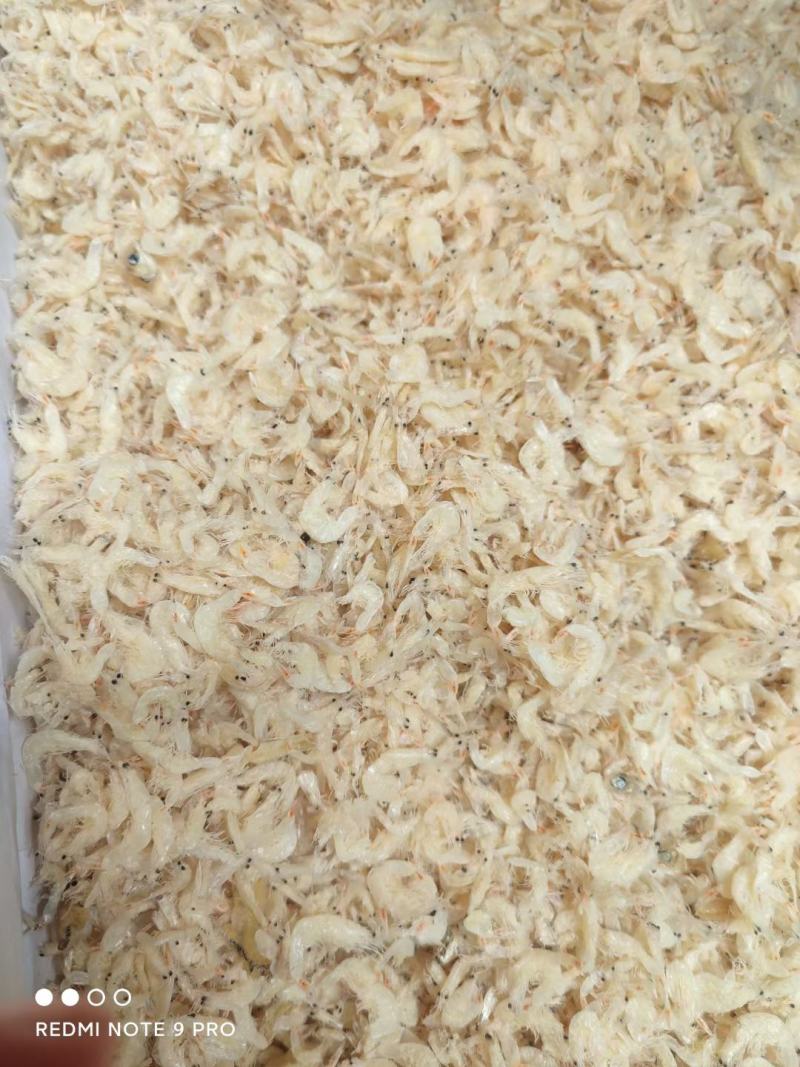 跑江湖地摊新鲜虾皮海米虾无盐即食补钙煲汤批发