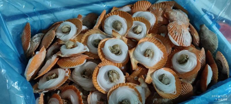 黄金粉丝贝烧烤可用自助餐可用黄金粉丝扇贝