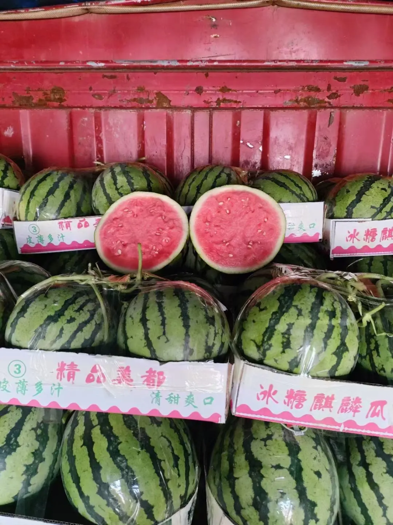 陕西产地无籽美都西瓜，美都西瓜，大量上市保质保量基地发