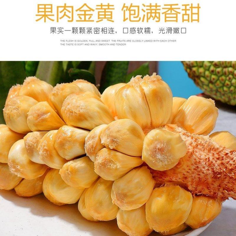 海南榴莲蜜一件代发批发热带水果尖蜜拉