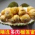 海南榴莲蜜一件代发批发热带水果尖蜜拉