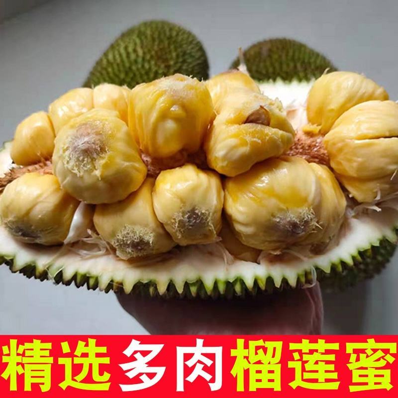 海南榴莲蜜一件代发批发热带水果尖蜜拉